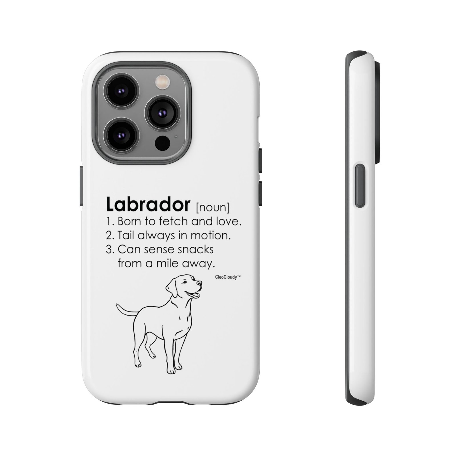 Labrador Definition Phone Case | Minimalist Dog Lover Gift | Glossy Tough iPhone, Samsung & Pixel Cover - Image 48