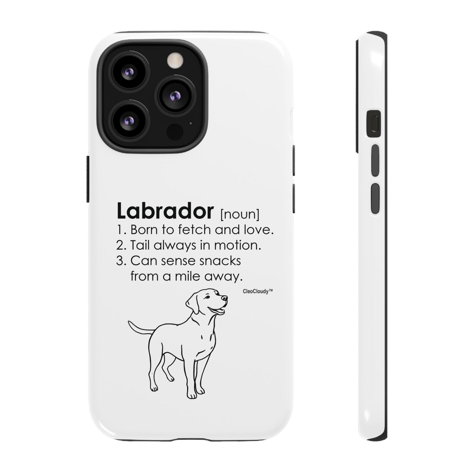 Labrador Definition Phone Case | Minimalist Dog Lover Gift | Glossy Tough iPhone, Samsung & Pixel Cover - Image 24