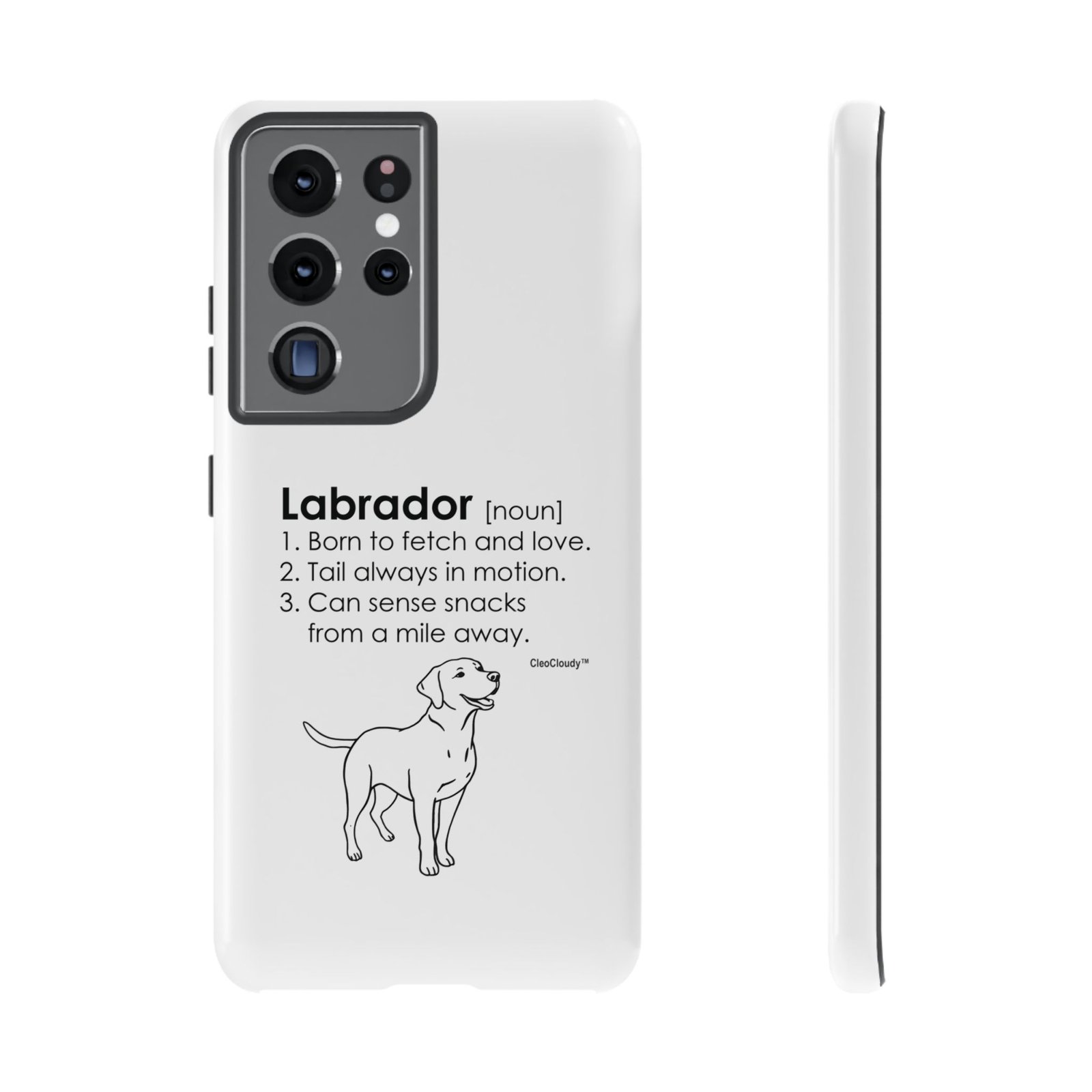 Labrador Definition Phone Case | Minimalist Dog Lover Gift | Glossy Tough iPhone, Samsung & Pixel Cover - Image 32