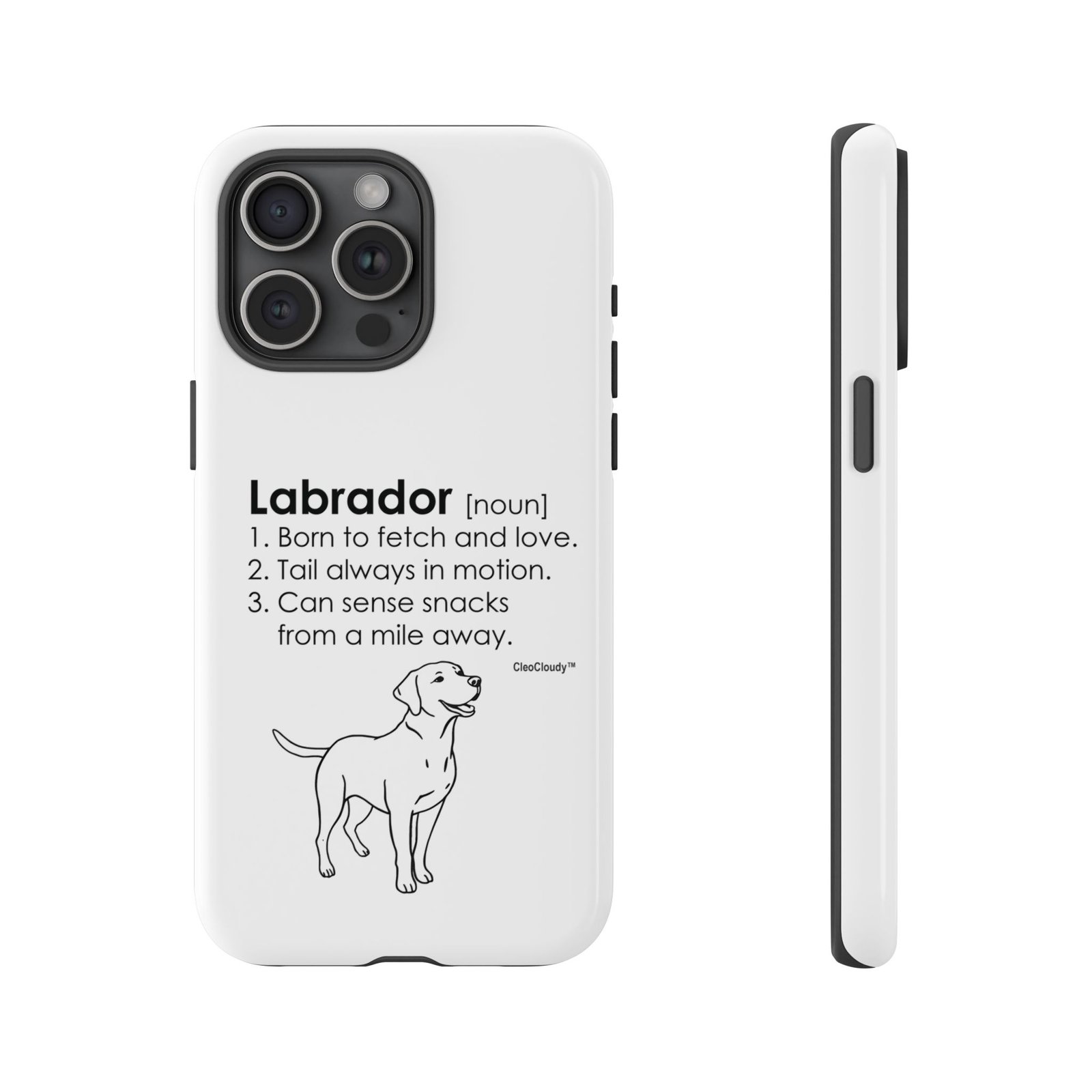 Labrador Definition Phone Case | Minimalist Dog Lover Gift | Glossy Tough iPhone, Samsung & Pixel Cover - Image 89