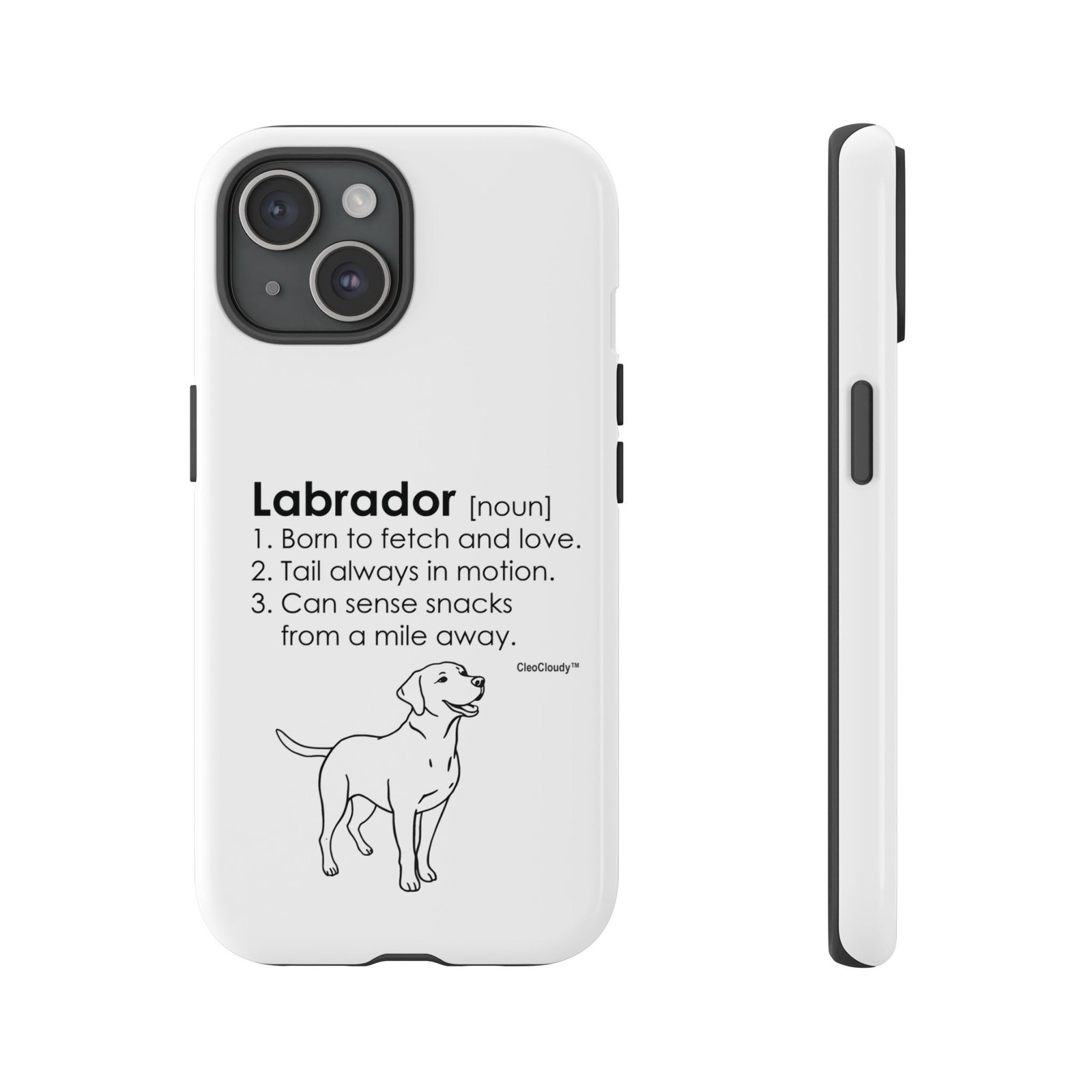 Labrador Definition Phone Case | Minimalist Dog Lover Gift | Glossy Tough iPhone, Samsung & Pixel Cover - Image 80
