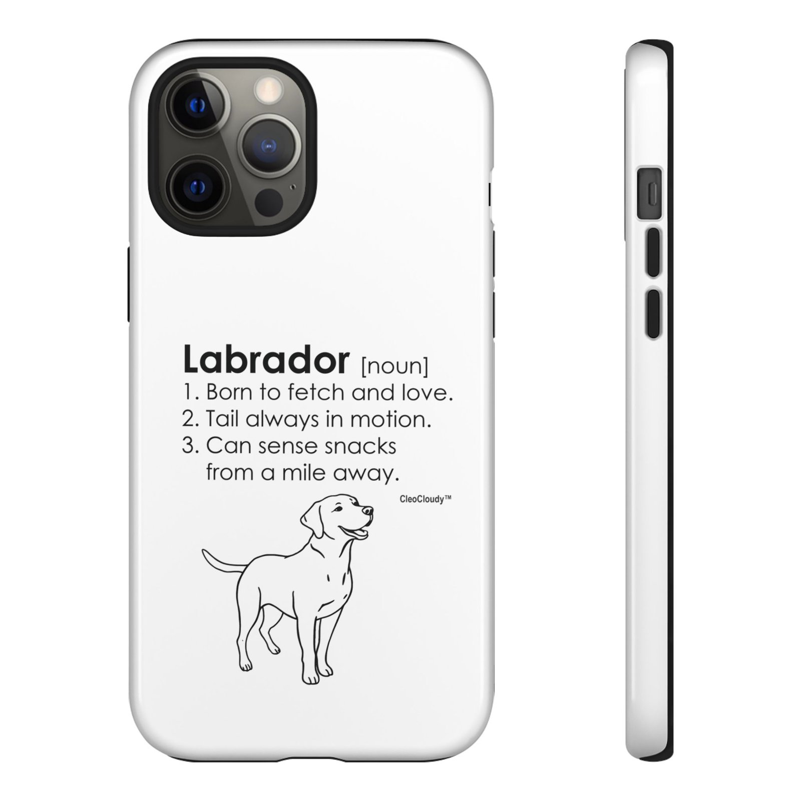 Labrador Definition Phone Case | Minimalist Dog Lover Gift | Glossy Tough iPhone, Samsung & Pixel Cover - Image 19