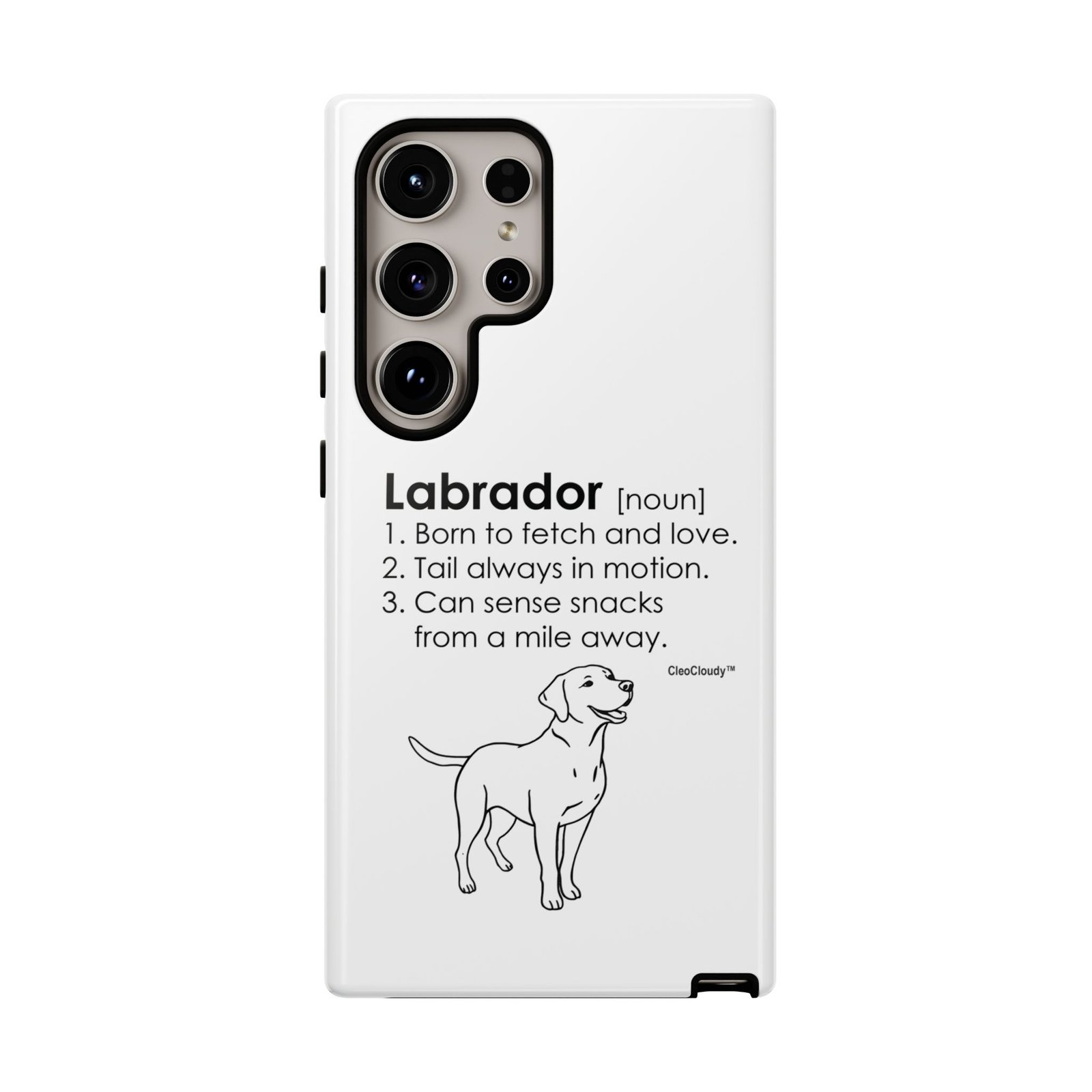 Labrador Definition Phone Case | Minimalist Dog Lover Gift | Glossy Tough iPhone, Samsung & Pixel Cover - Image 100