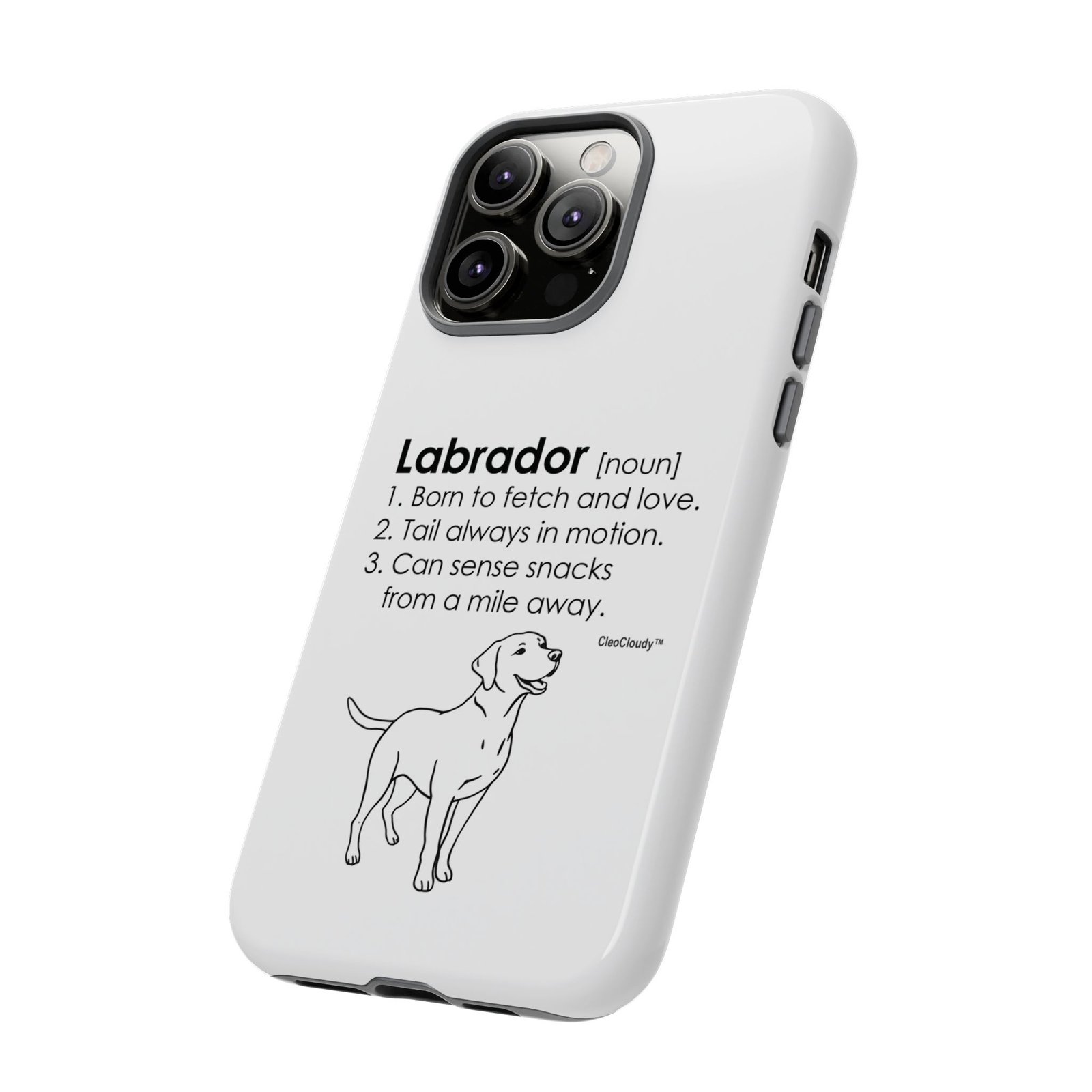 Labrador Definition Phone Case | Minimalist Dog Lover Gift | Glossy Tough iPhone, Samsung & Pixel Cover - Image 57