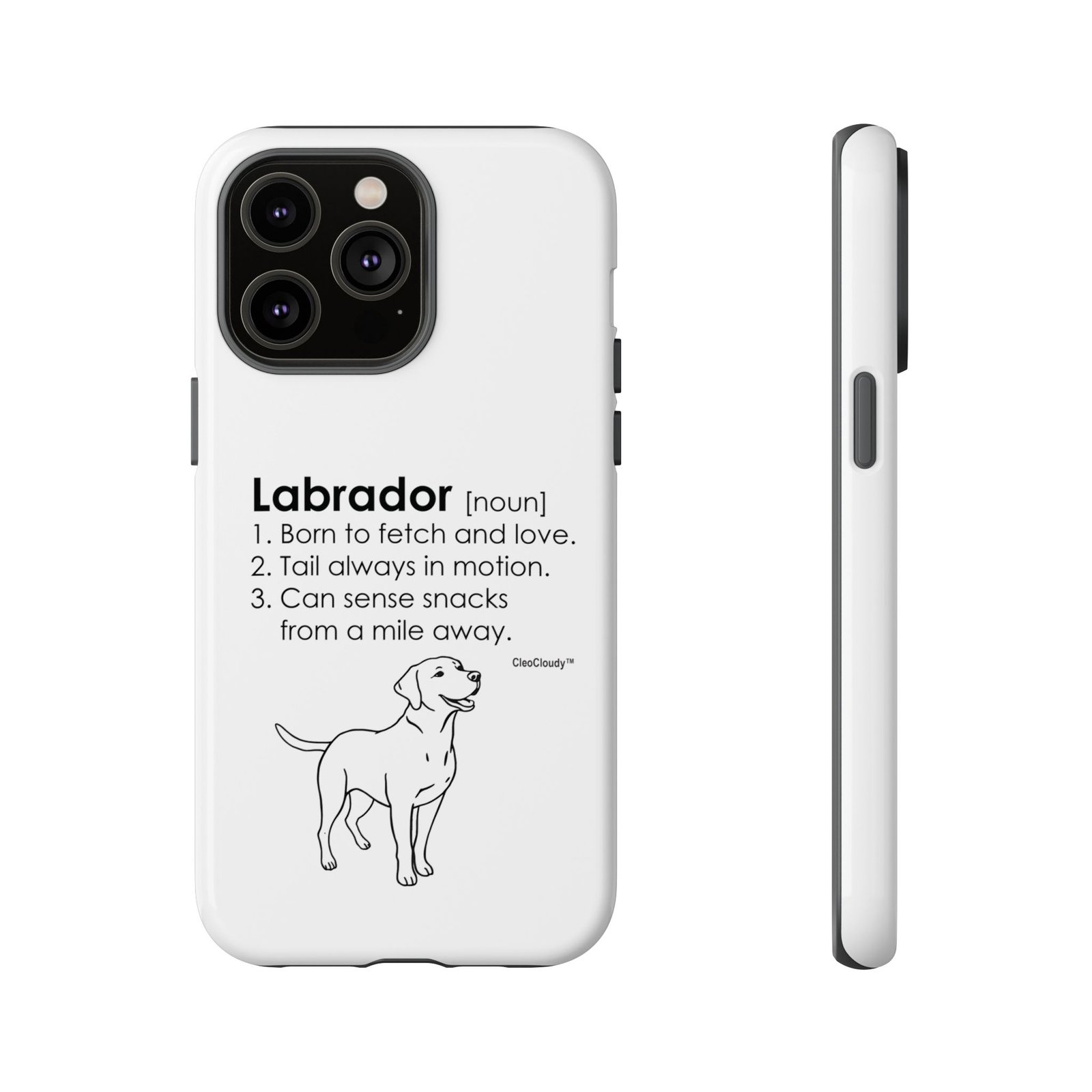 Labrador Definition Phone Case | Minimalist Dog Lover Gift | Glossy Tough iPhone, Samsung & Pixel Cover - Image 56