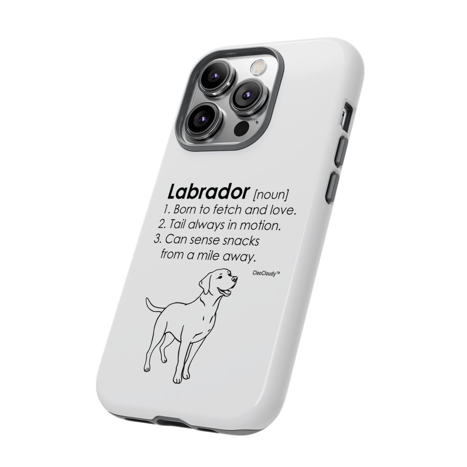 Labrador Definition Phone Case | Minimalist Dog Lover Gift | Glossy Tough iPhone, Samsung & Pixel Cover - Image 49