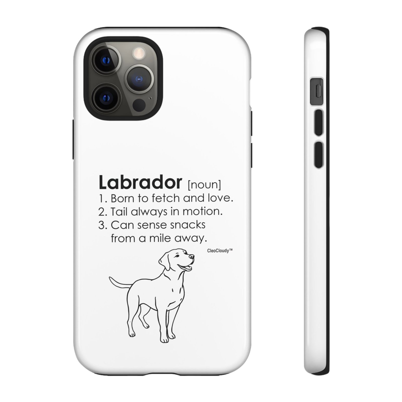 Labrador Definition Phone Case | Minimalist Dog Lover Gift | Glossy Tough iPhone, Samsung & Pixel Cover - Image 18